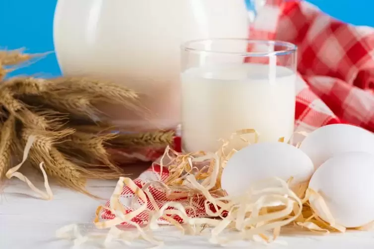Eggs and milk for drinking diet